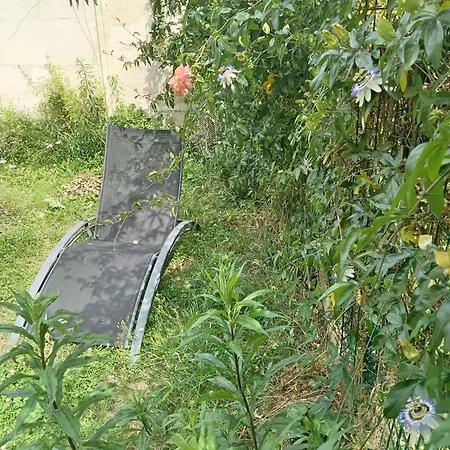 Apartment Refait A Neuf Avec Jardin Partage